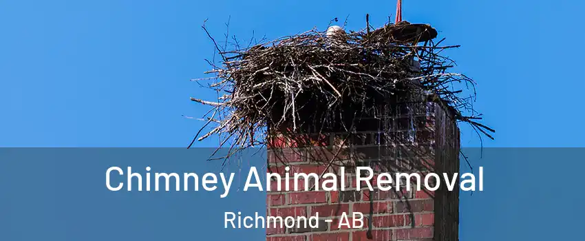 Chimney Animal Removal Richmond - AB