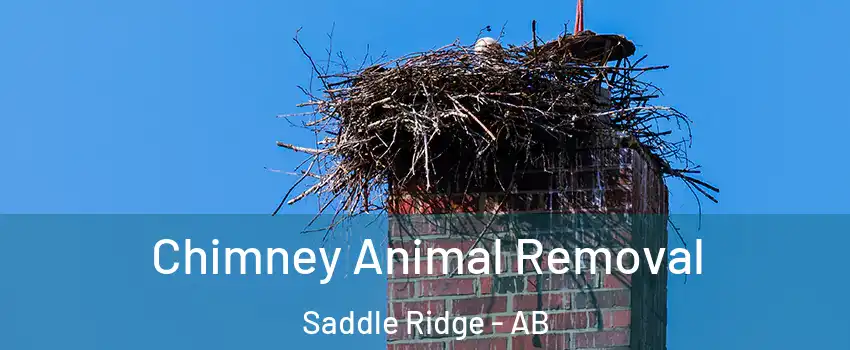 Chimney Animal Removal Saddle Ridge - AB