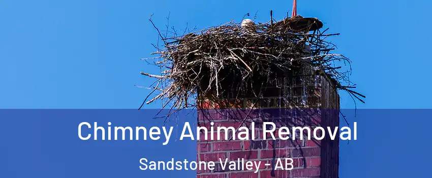  Chimney Animal Removal Sandstone Valley - AB