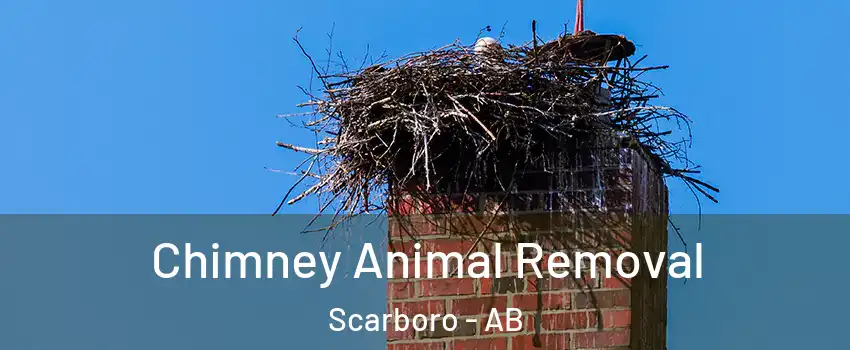  Chimney Animal Removal Scarboro - AB