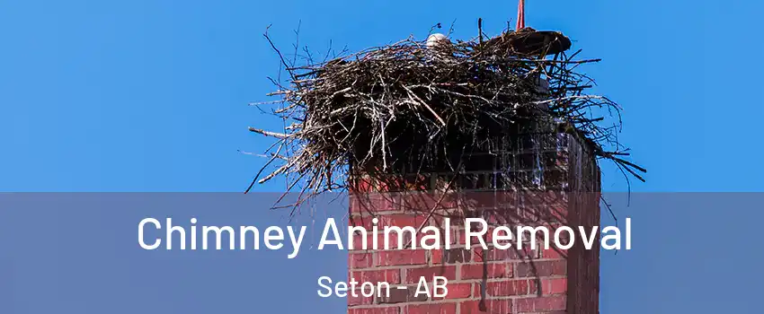 Chimney Animal Removal Seton - AB