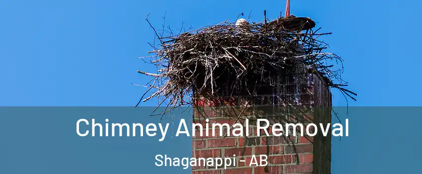 Chimney Animal Removal Shaganappi - AB
