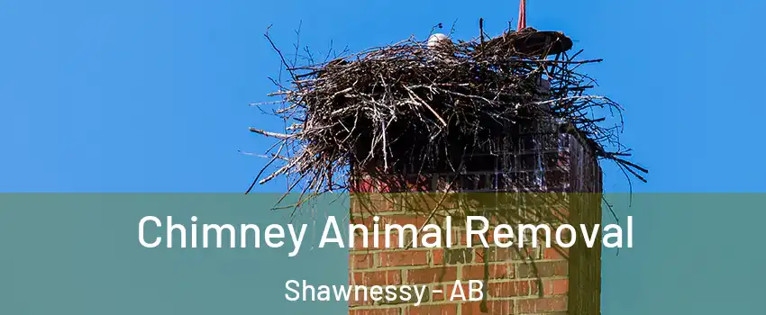 Chimney Animal Removal Shawnessy - AB