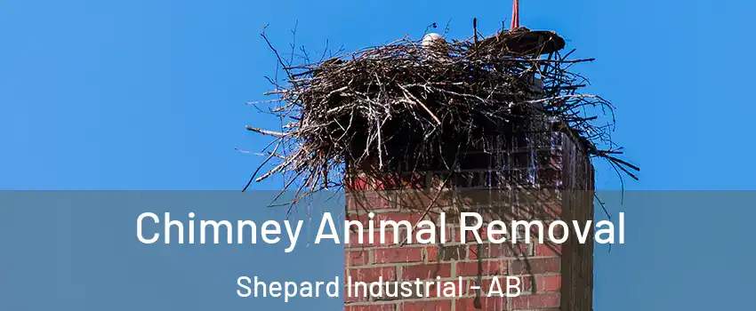  Chimney Animal Removal Shepard Industrial - AB