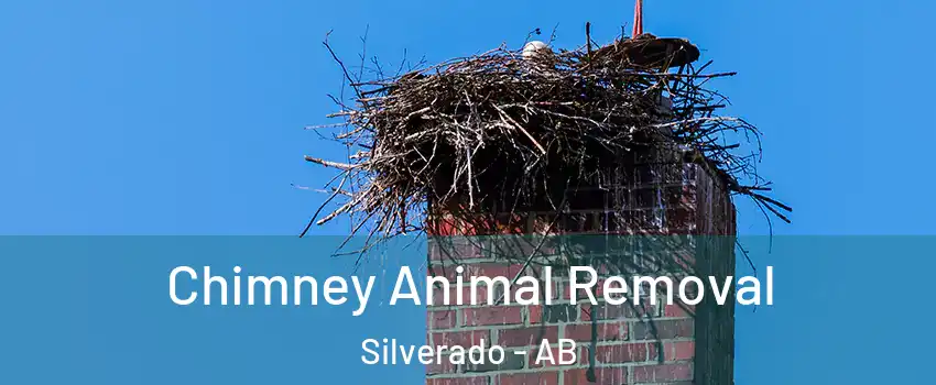 Chimney Animal Removal Silverado - AB