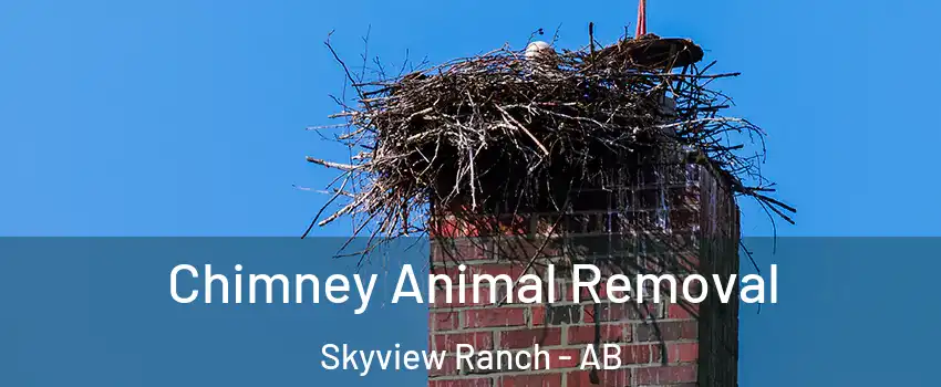  Chimney Animal Removal Skyview Ranch - AB