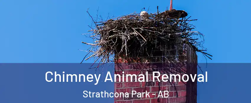 Chimney Animal Removal Strathcona Park - AB