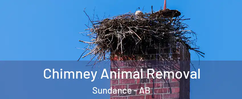 Chimney Animal Removal Sundance - AB