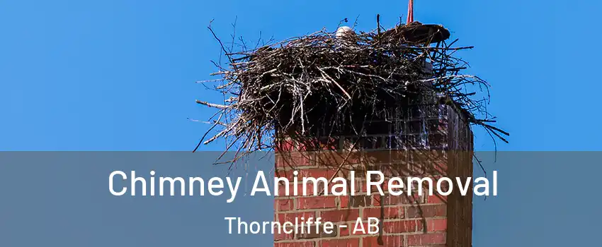 Chimney Animal Removal Thorncliffe - AB