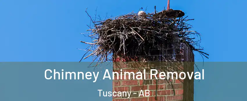 Chimney Animal Removal Tuscany - AB