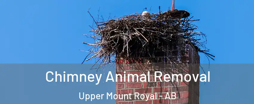 Chimney Animal Removal Upper Mount Royal - AB