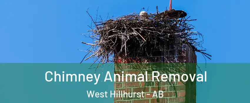 Chimney Animal Removal West Hillhurst - AB