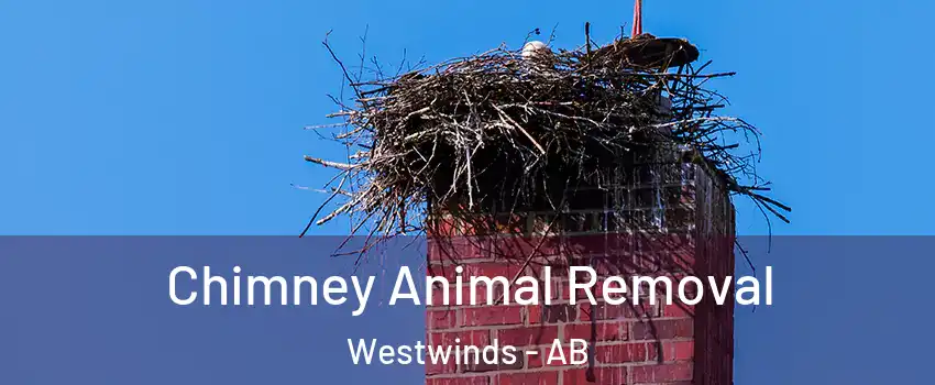 Chimney Animal Removal Westwinds - AB