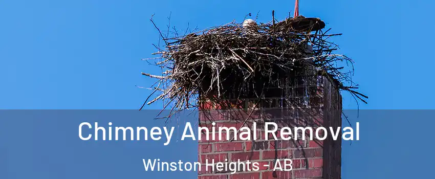 Chimney Animal Removal Winston Heights - AB