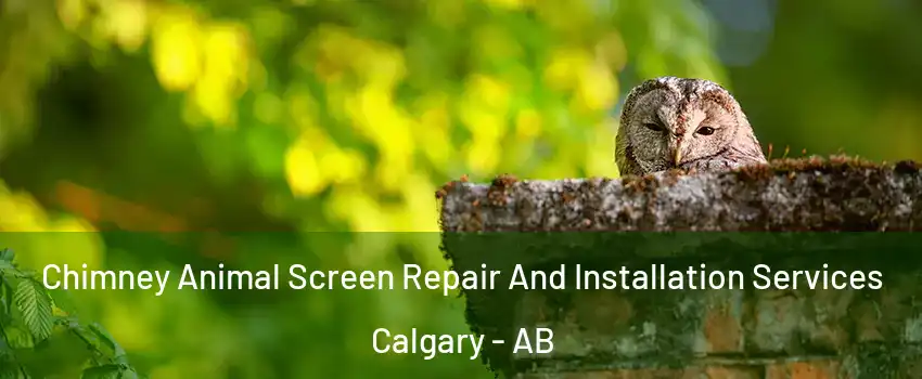  Chimney Animal Screen Repair And Installation Services Calgary - AB