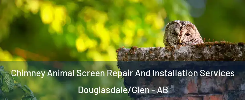 Chimney Animal Screen Repair And Installation Services Douglasdale/Glen - AB