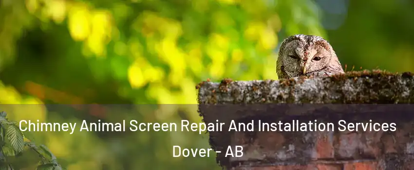  Chimney Animal Screen Repair And Installation Services Dover - AB