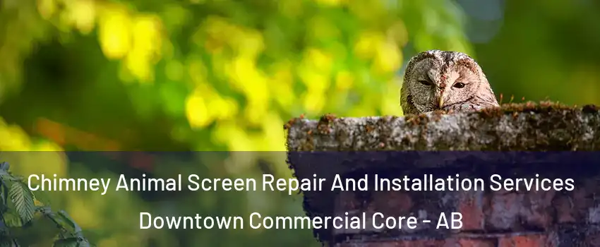  Chimney Animal Screen Repair And Installation Services Downtown Commercial Core - AB