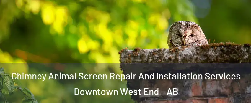  Chimney Animal Screen Repair And Installation Services Downtown West End - AB