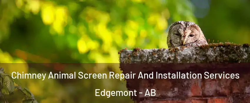  Chimney Animal Screen Repair And Installation Services Edgemont - AB