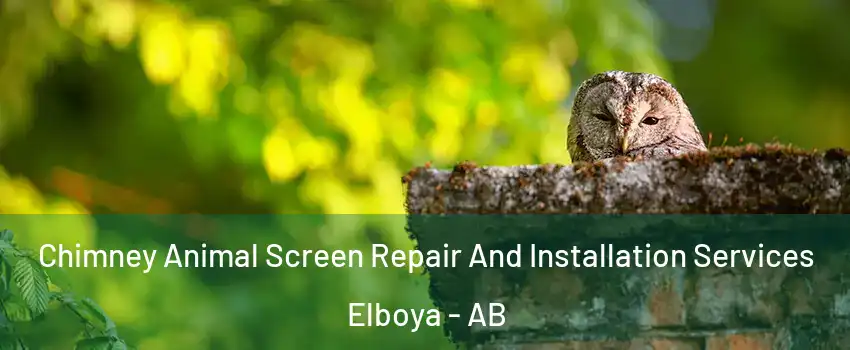  Chimney Animal Screen Repair And Installation Services Elboya - AB