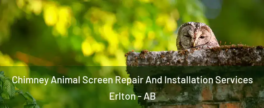  Chimney Animal Screen Repair And Installation Services Erlton - AB