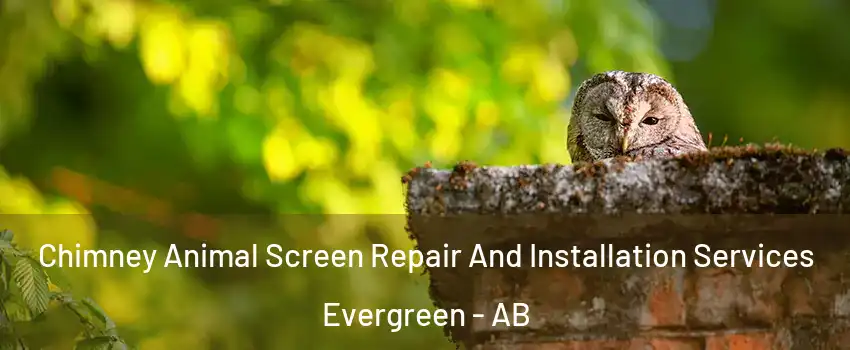  Chimney Animal Screen Repair And Installation Services Evergreen - AB