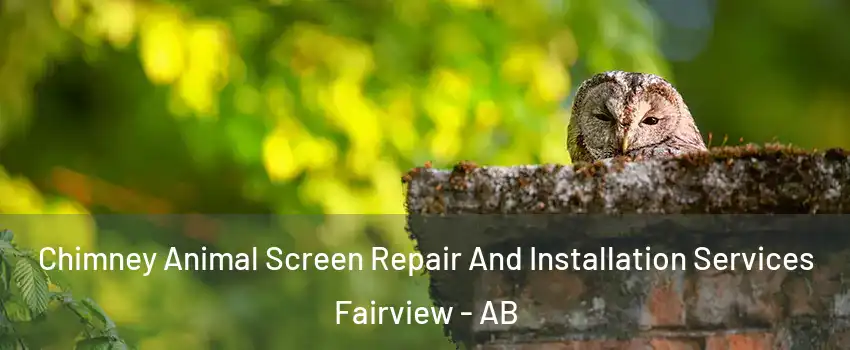  Chimney Animal Screen Repair And Installation Services Fairview - AB
