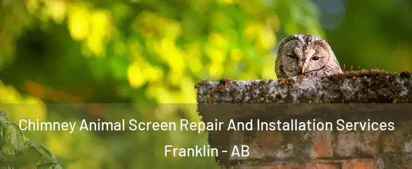  Chimney Animal Screen Repair And Installation Services Franklin - AB