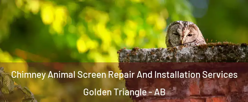  Chimney Animal Screen Repair And Installation Services Golden Triangle - AB