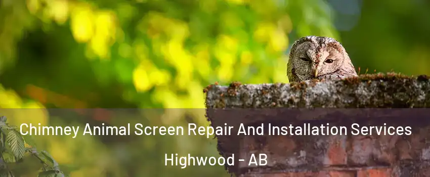  Chimney Animal Screen Repair And Installation Services Highwood - AB