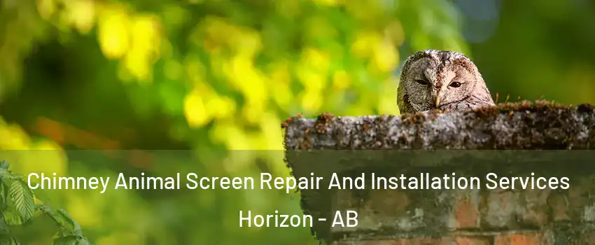  Chimney Animal Screen Repair And Installation Services Horizon - AB