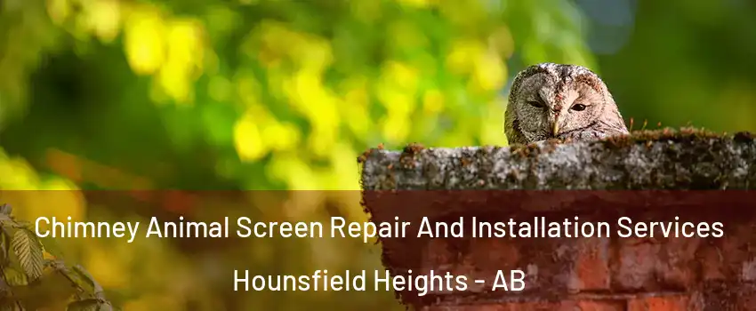  Chimney Animal Screen Repair And Installation Services Hounsfield Heights - AB