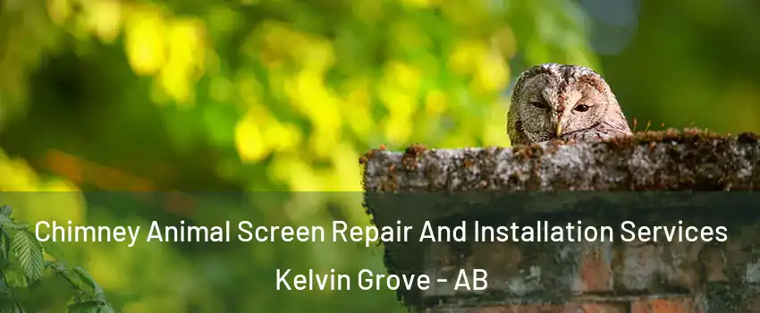  Chimney Animal Screen Repair And Installation Services Kelvin Grove - AB