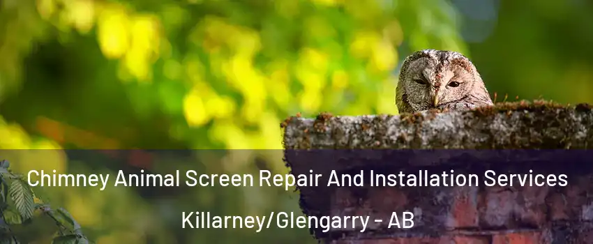  Chimney Animal Screen Repair And Installation Services Killarney/Glengarry - AB