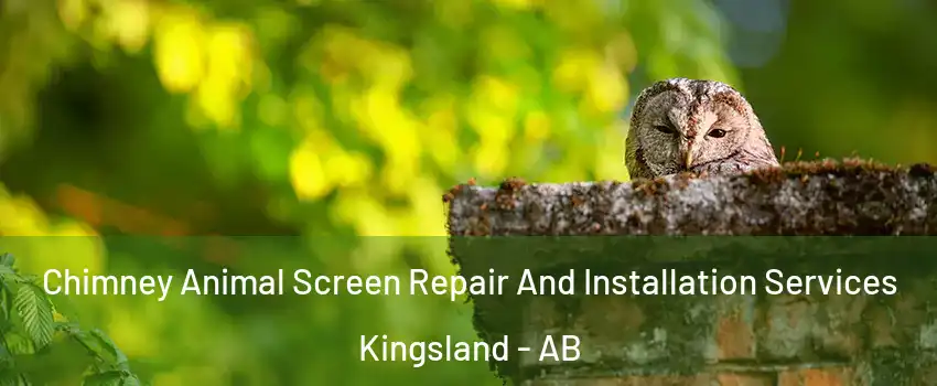  Chimney Animal Screen Repair And Installation Services Kingsland - AB