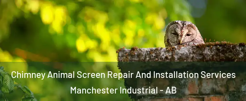  Chimney Animal Screen Repair And Installation Services Manchester Industrial - AB
