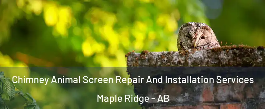  Chimney Animal Screen Repair And Installation Services Maple Ridge - AB