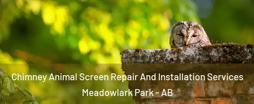  Chimney Animal Screen Repair And Installation Services Meadowlark Park - AB