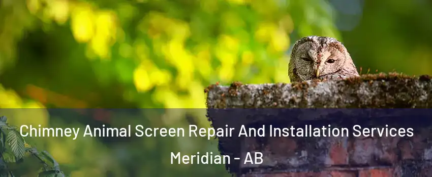  Chimney Animal Screen Repair And Installation Services Meridian - AB