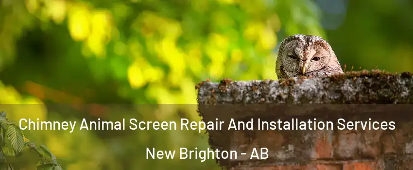  Chimney Animal Screen Repair And Installation Services New Brighton - AB