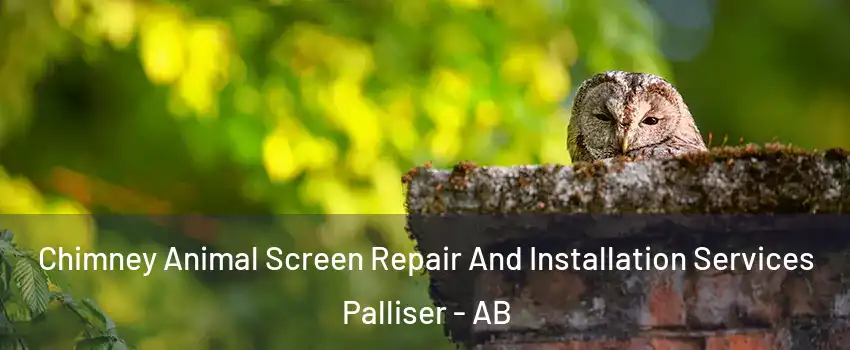  Chimney Animal Screen Repair And Installation Services Palliser - AB