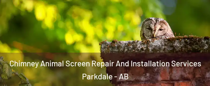  Chimney Animal Screen Repair And Installation Services Parkdale - AB