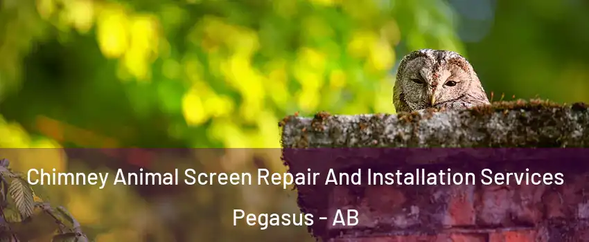 Chimney Animal Screen Repair And Installation Services Pegasus - AB