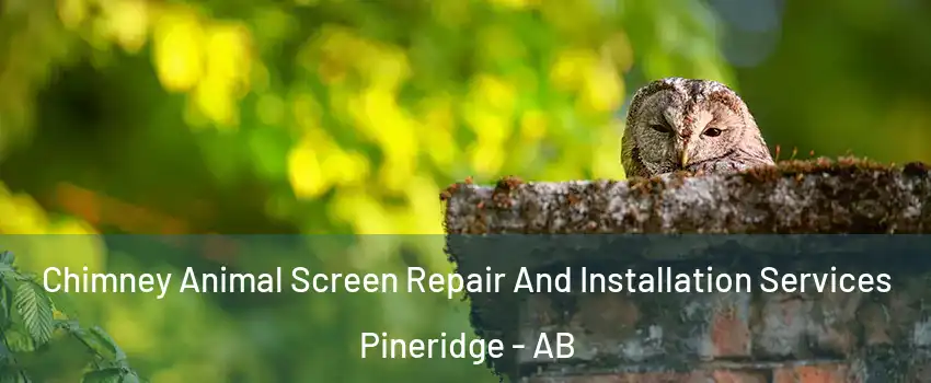  Chimney Animal Screen Repair And Installation Services Pineridge - AB