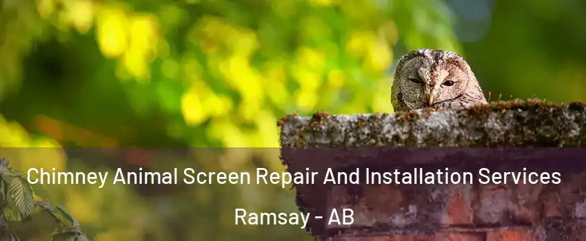  Chimney Animal Screen Repair And Installation Services Ramsay - AB