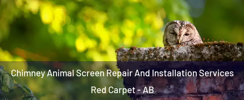  Chimney Animal Screen Repair And Installation Services Red Carpet - AB