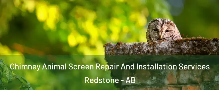  Chimney Animal Screen Repair And Installation Services Redstone - AB