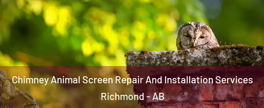  Chimney Animal Screen Repair And Installation Services Richmond - AB