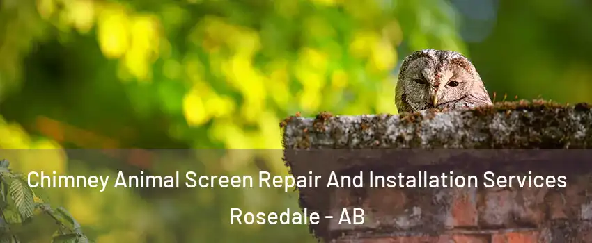  Chimney Animal Screen Repair And Installation Services Rosedale - AB